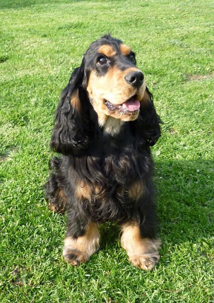 Karel-Argo 8.5.2010 d.JPG